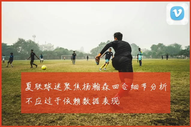 夏联球迷聚焦杨瀚森回合细节分析不应过于依赖数据表现